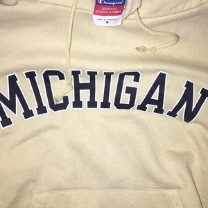 Champion sweater